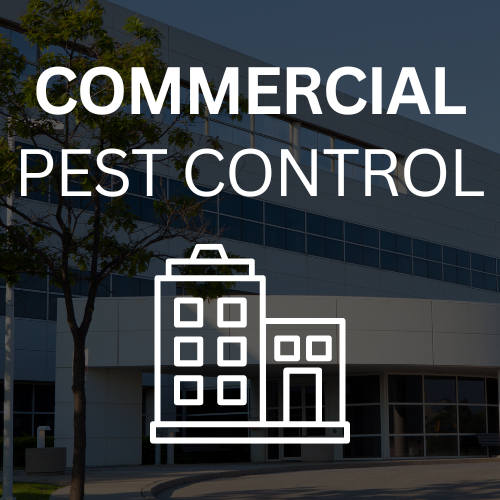 Local Best EcoFriendly Pest Control in the Sioux Falls Area
