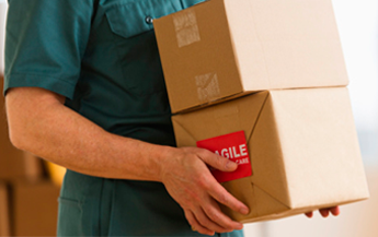 Transporte El Negro de José Romero