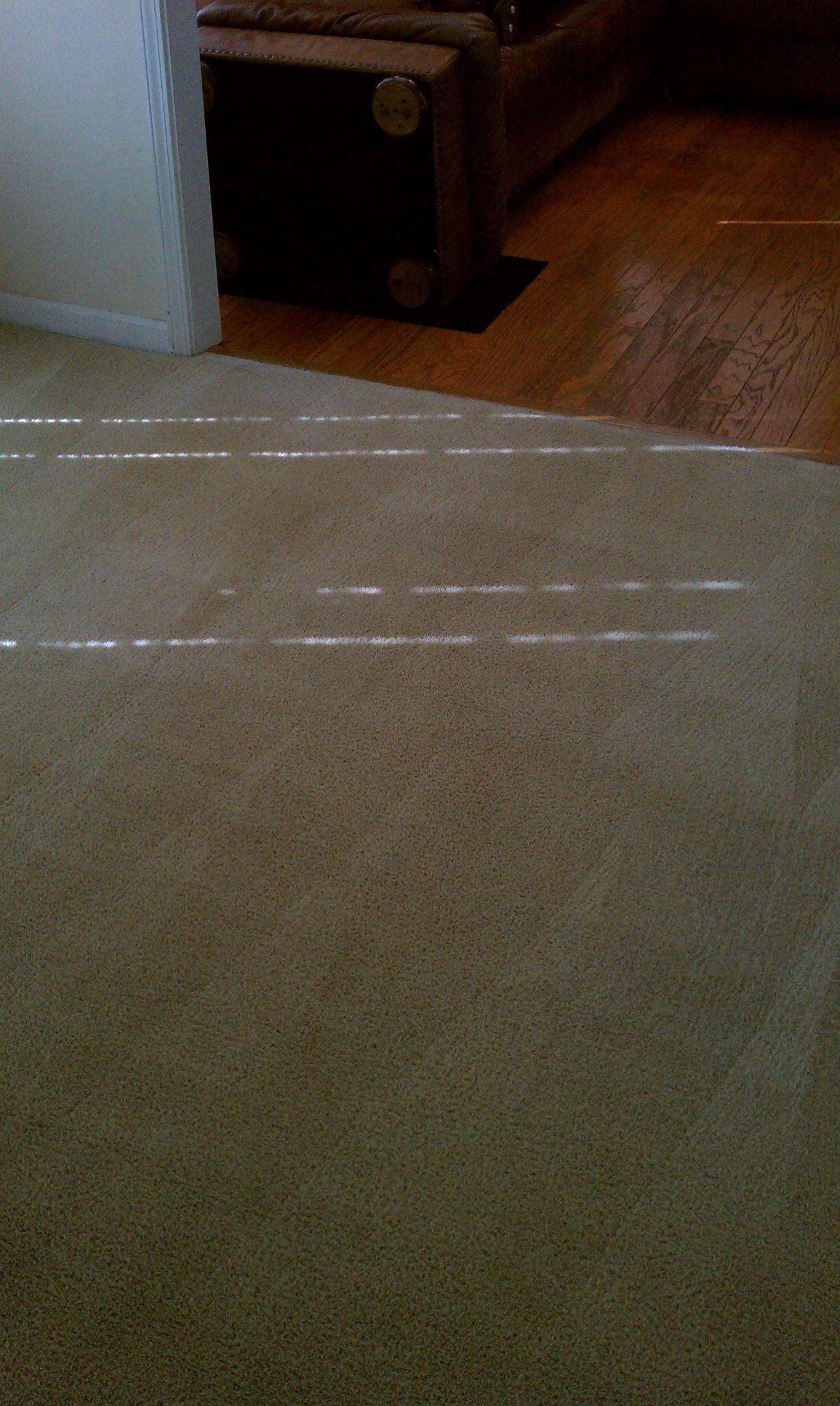 A living room with a carpeted floor and a wooden floor.