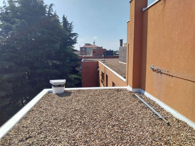 coibetanzioni copertura