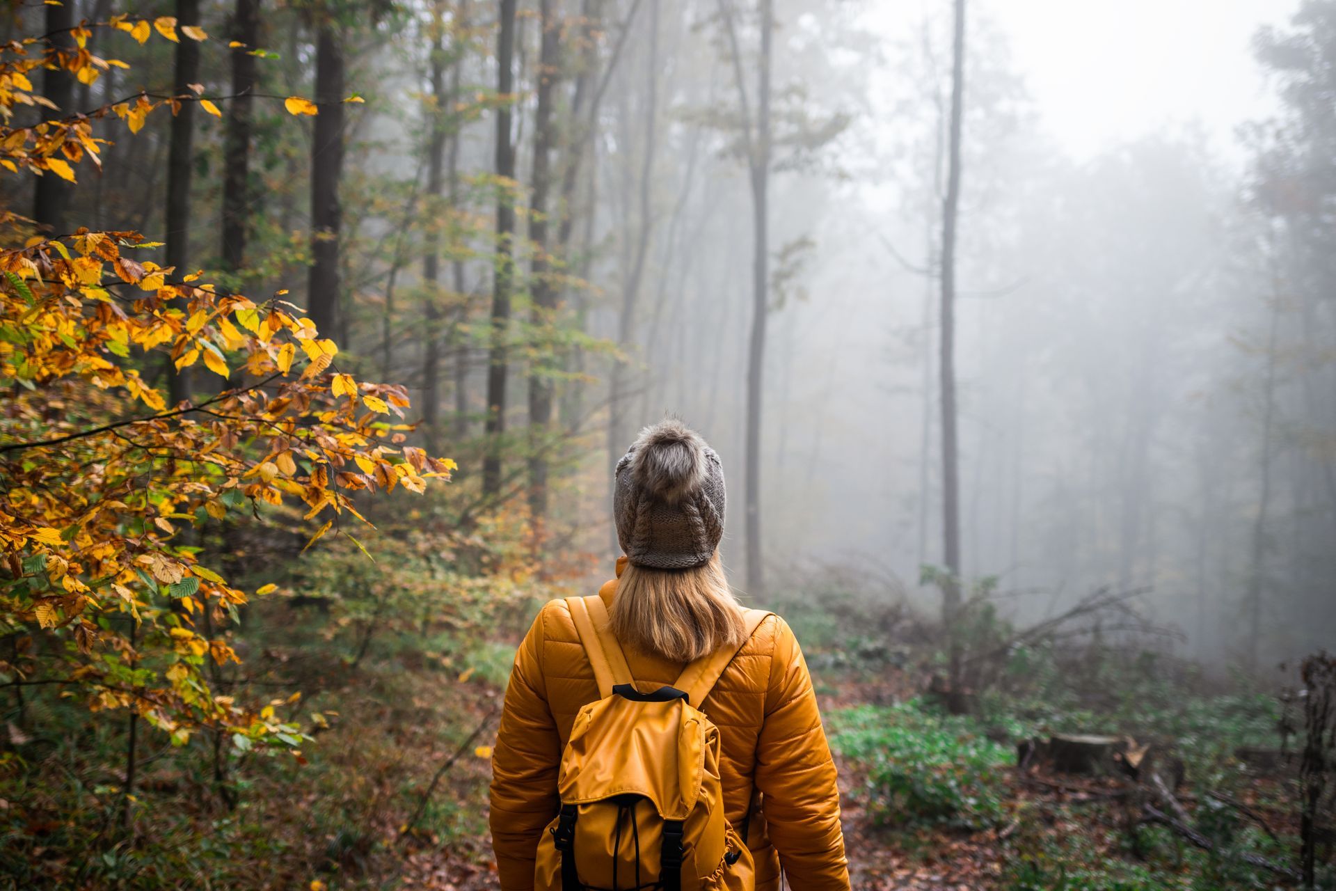 A woman with a backpack is walking through a foggy forest.