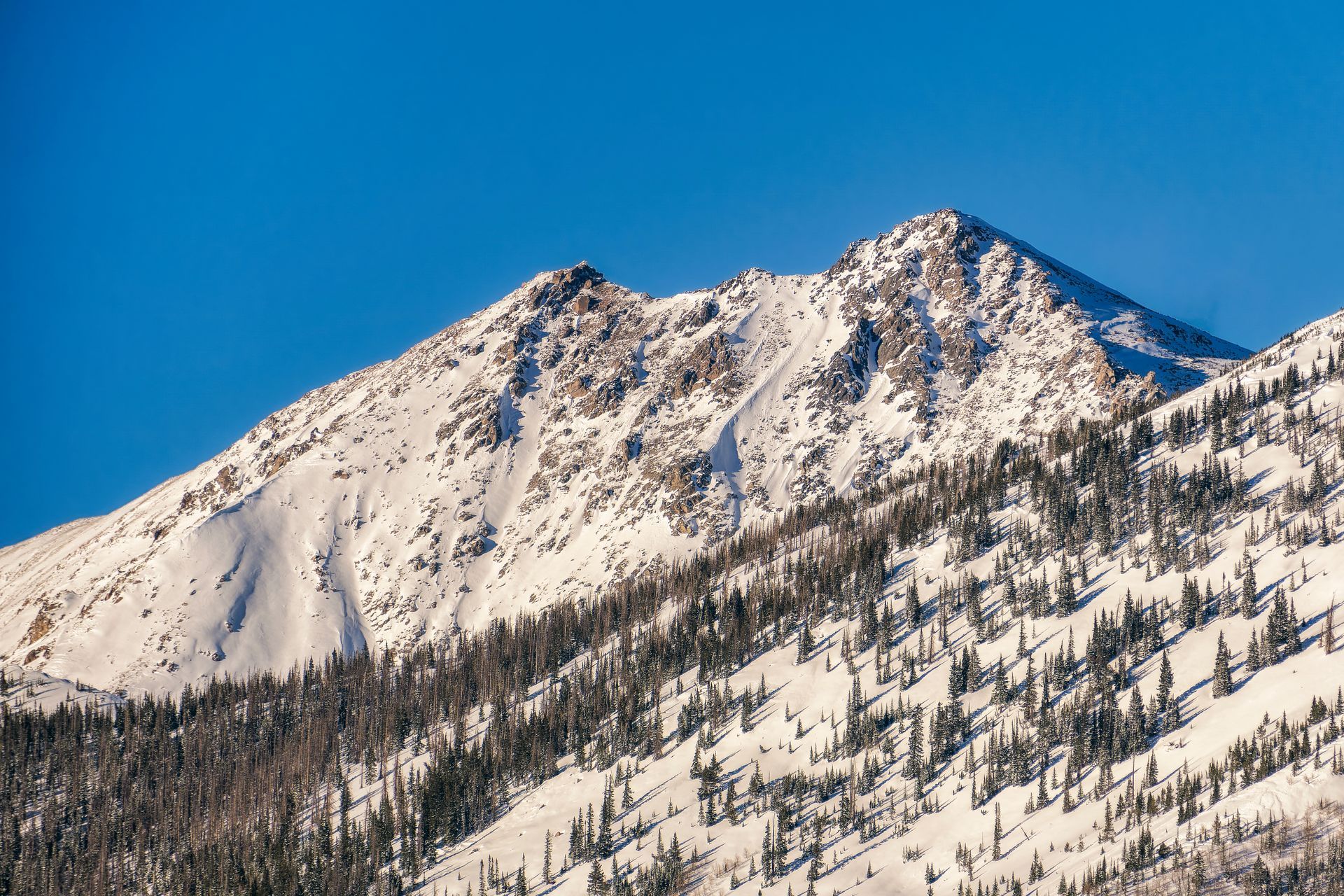 A snowy mountain with trees on the side and a blue sky in the background.
