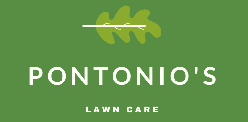 Logo for Pontonio's Lawn Care: Green background with white text and an oak leaf symbol.