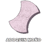 APC ADOQUÍN Y PREFABRICADOS DE CONCRETO SA DE CV - ADOQUÍN MOÑO