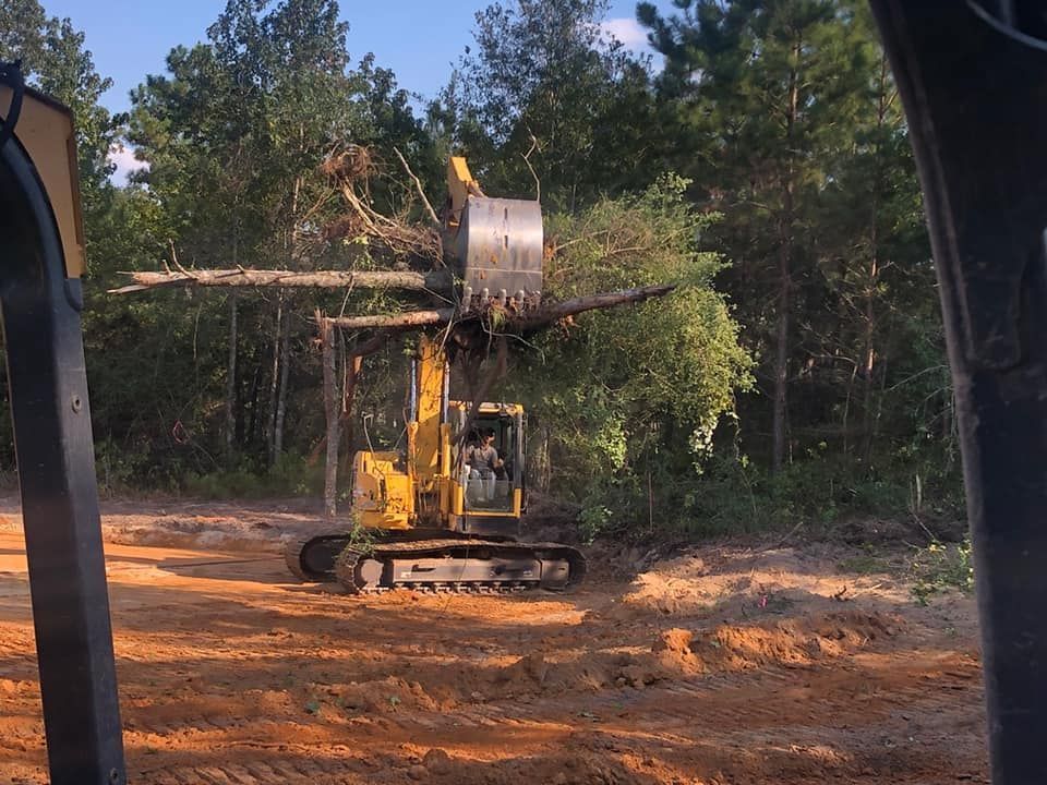 A yellow excavator with a forestry head is clearing brush in a forest setting. The machine is scooping up branches.