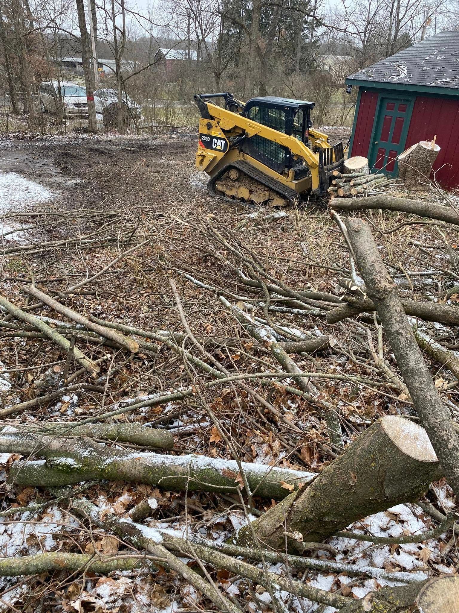 A yellow skid steer clears debris from a wooded area with a red shed in the background.