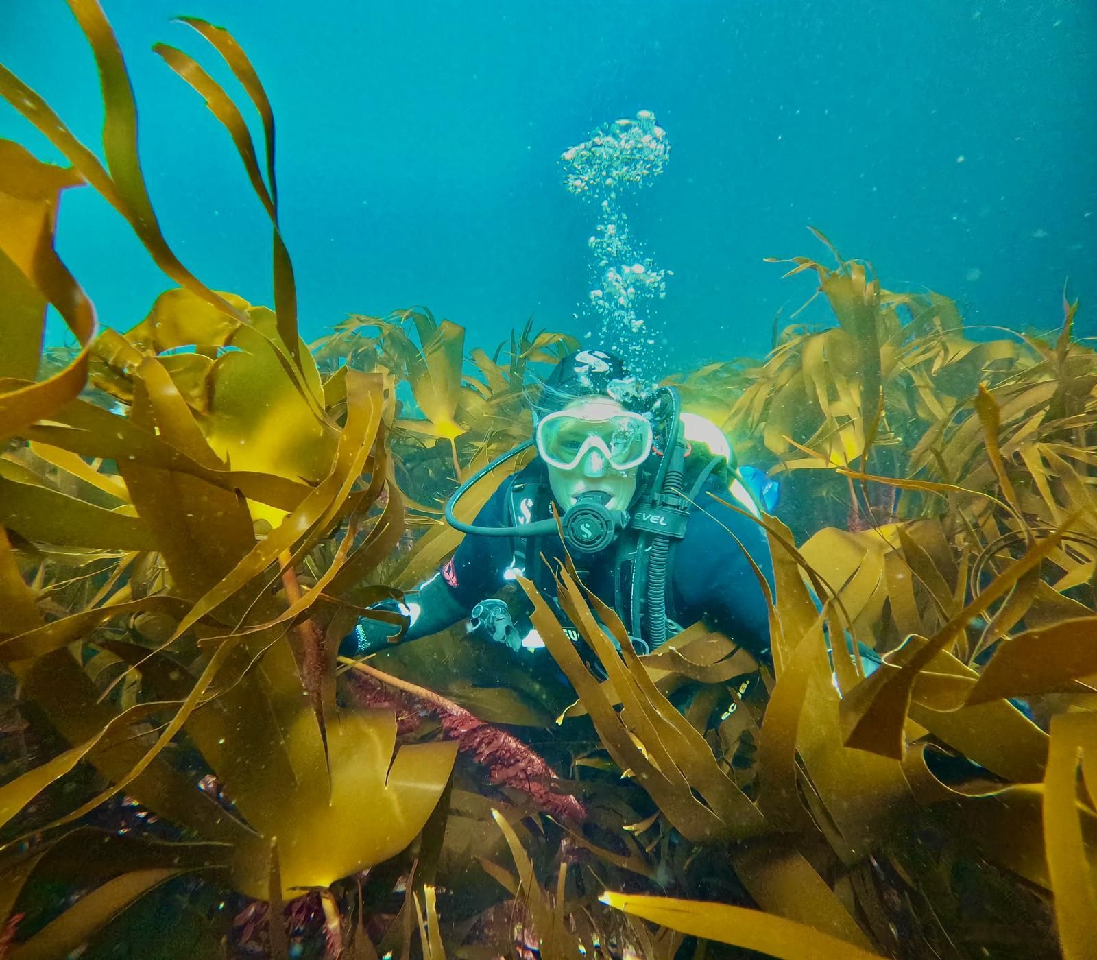 Learn To dive in Ireland - Aran Islands - Ireland