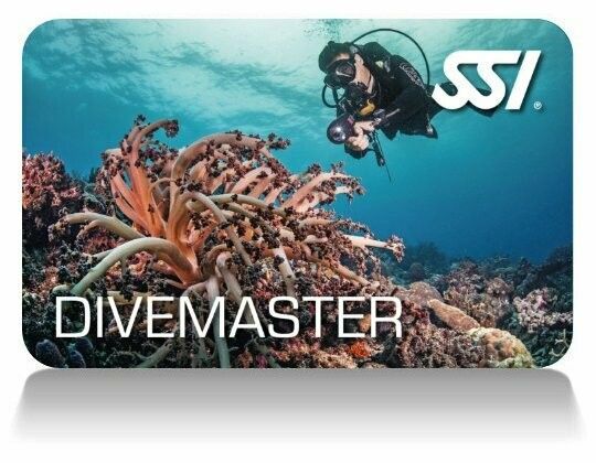 SSI Divemaster certification card