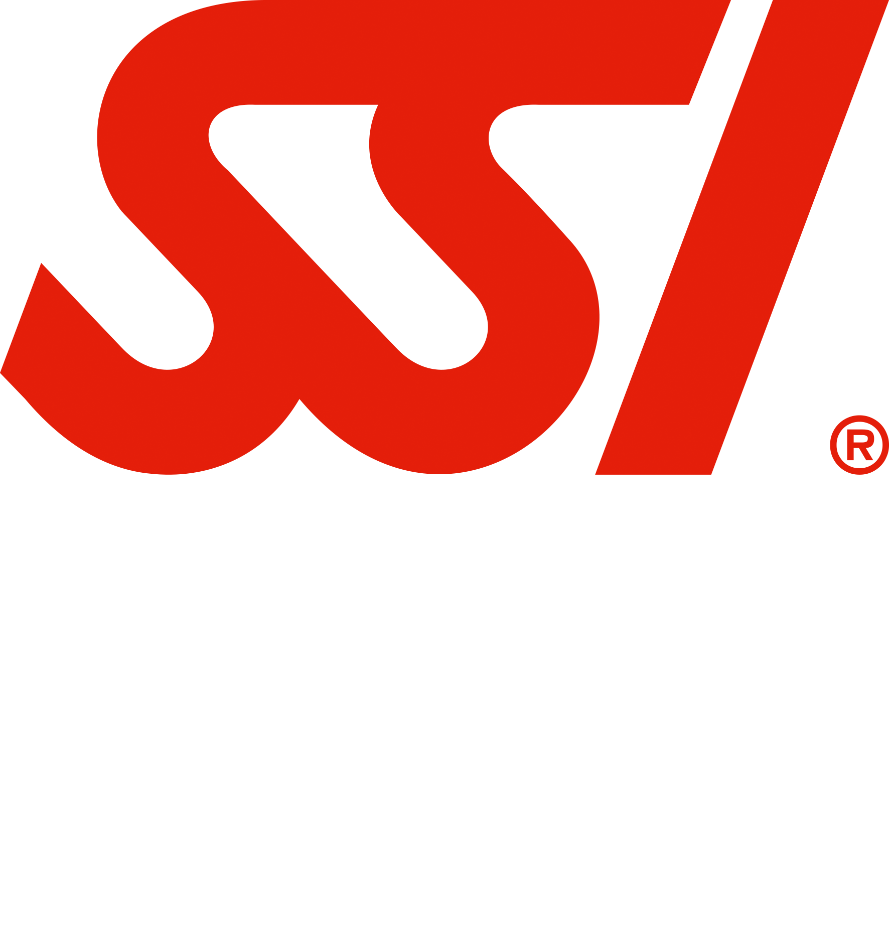 SSI Scuba School International