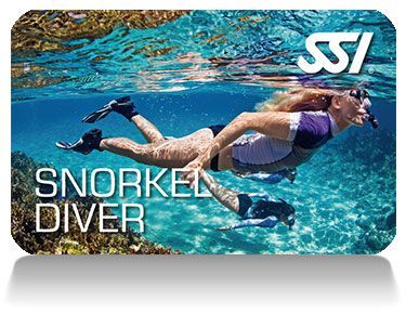 SSI Snorkel certification card