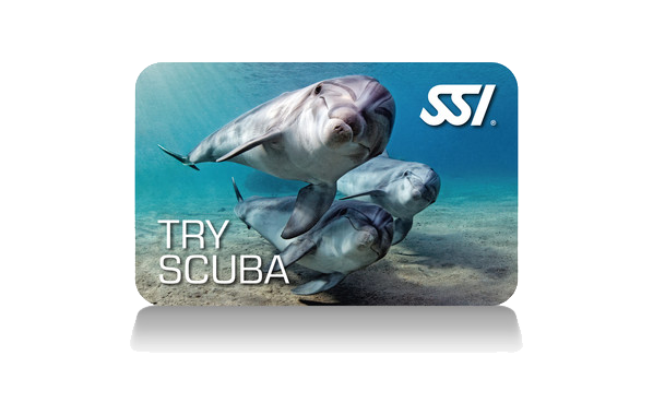 SSI Try Scuba certification card