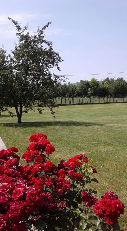 giardino curato dalla manutenzione del verde Reggio nell'Emilia