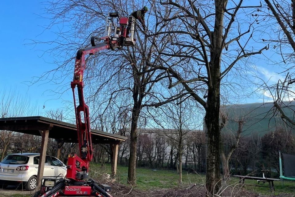 Potatura di giardini a Reggio nell'Emilia