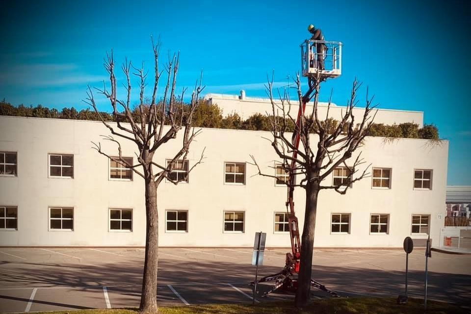 interventi di potatura di giardini a Reggio nell'Emilia