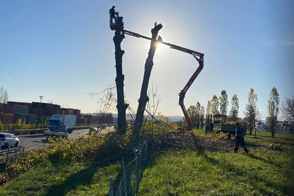 servizi di potatura di giardini a Reggio nell'Emilia