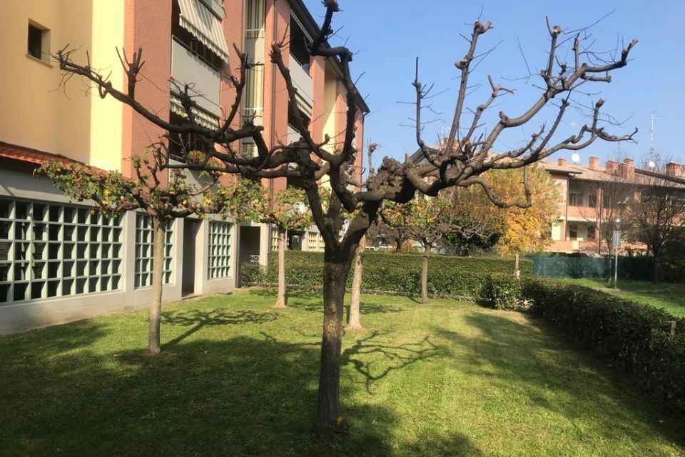 manutenzione e potatura di giardini a Reggio nell'Emilia