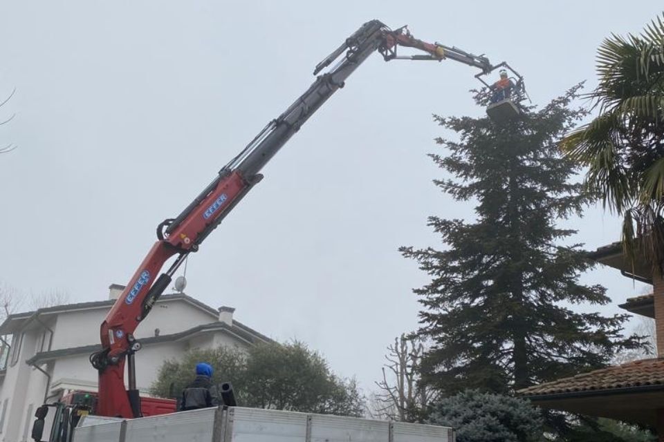 manutenzione con potatura di giardini a Reggio nell'Emilia