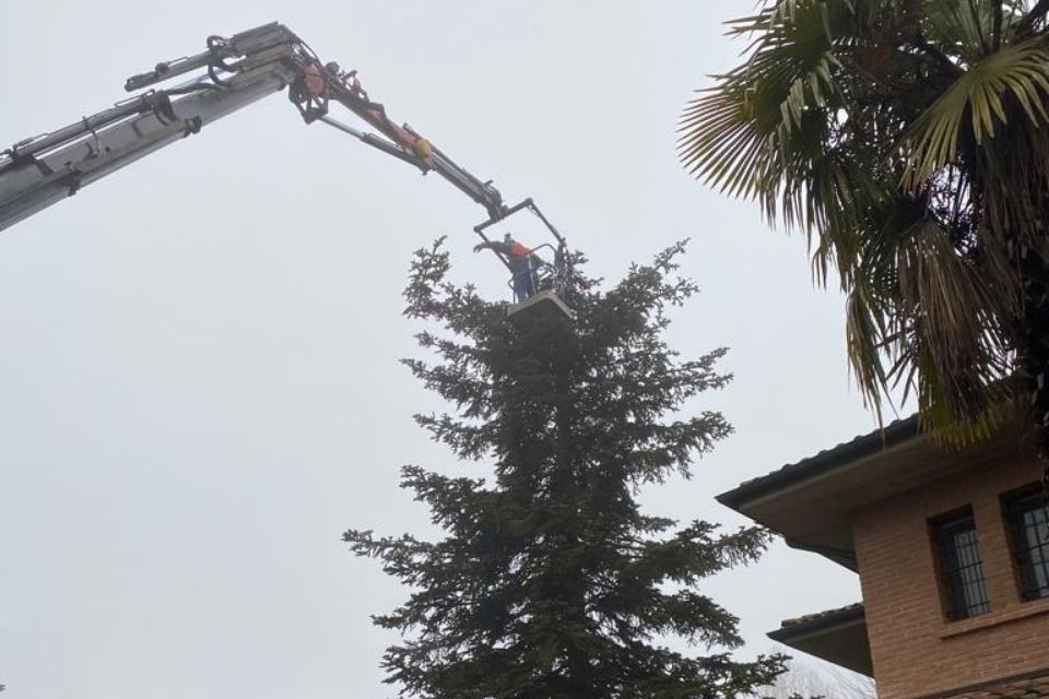 servizi di manutenzione e potatura di giardini a Reggio nell'Emilia