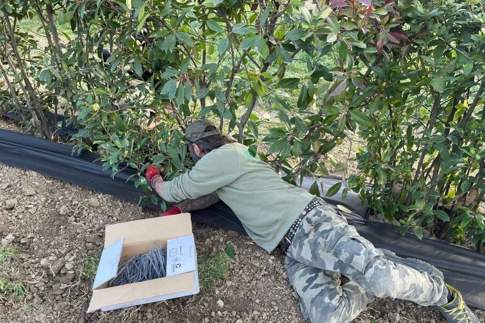 interventi per la manutenzione del verde a Reggio nell'Emilia