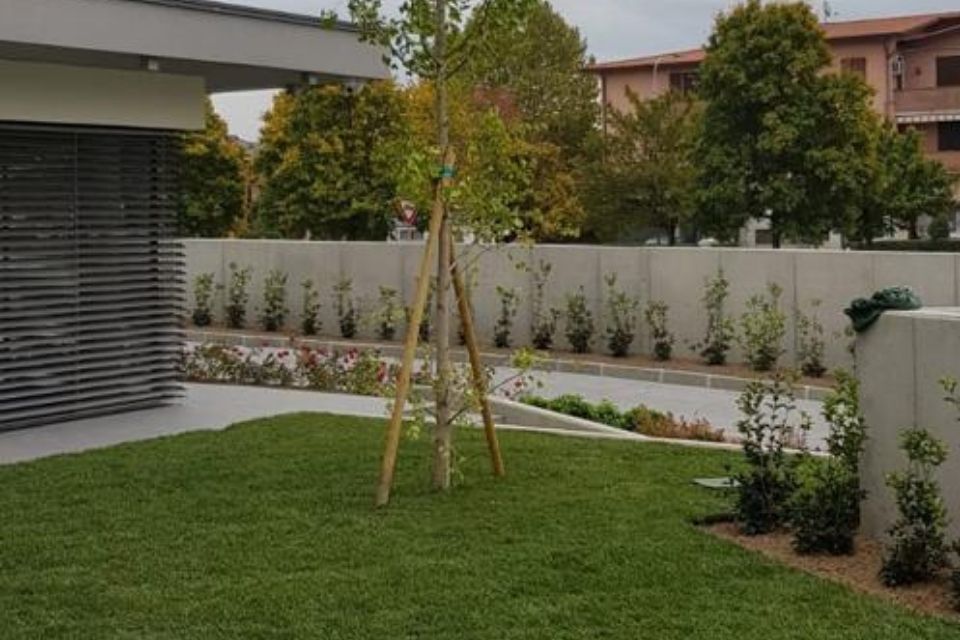 Giardino con prato verde