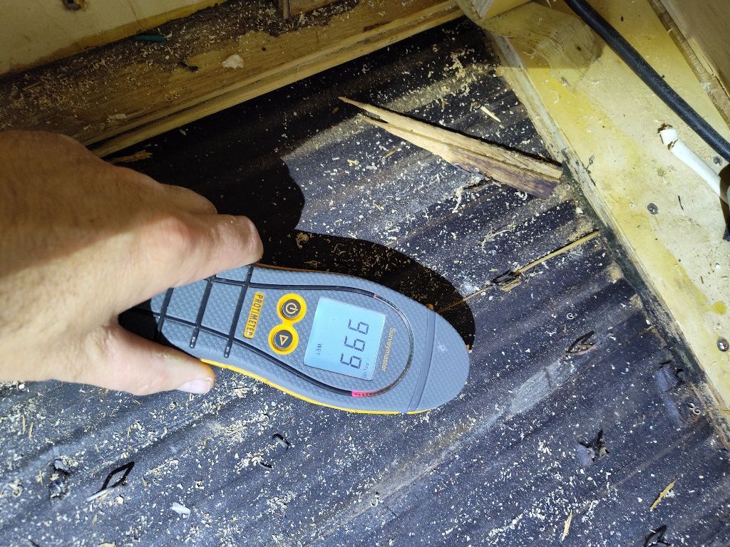 A person is holding a digital thermometer in their hand.