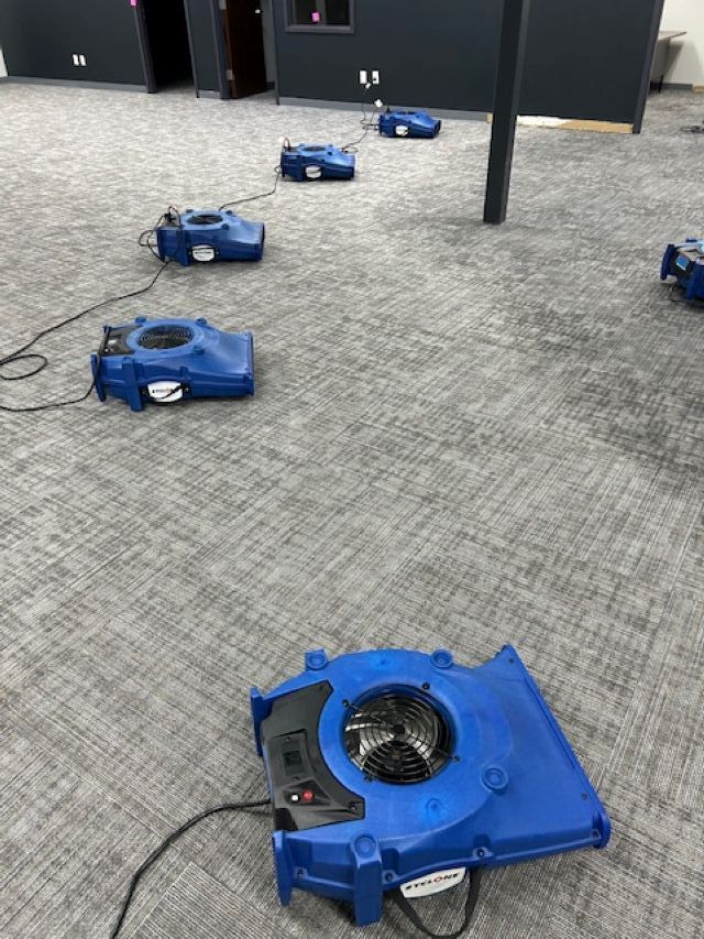 A group of blue fans sitting on top of a carpeted floor.