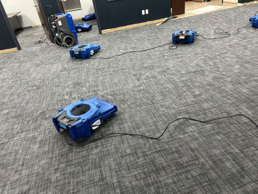 A row of blue dryers sitting on top of a carpeted floor.