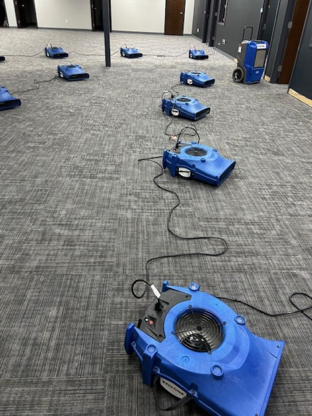 A row of blue fans are sitting on a carpeted floor in a room.