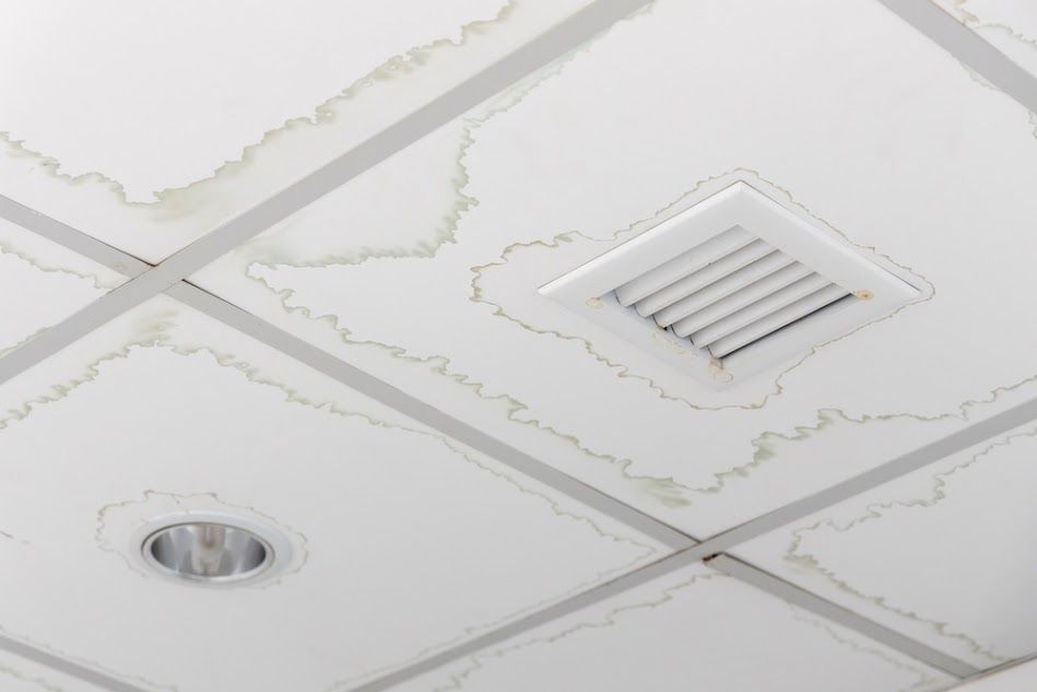 A close up of a ceiling with a vent and a light.