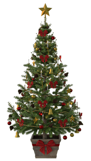 Holiday Lights Tours