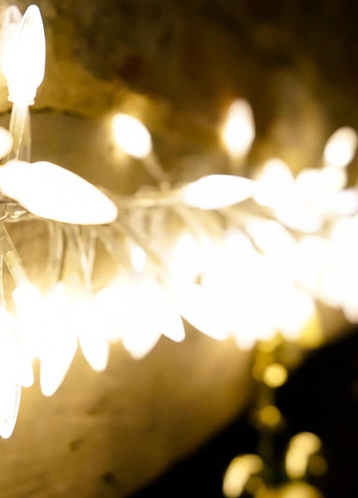 Christmas Lights Tours New Orleans