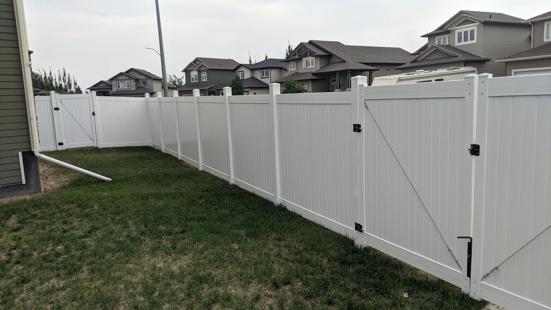 White vinyl fence around a grassy yard; suburban houses in the background.