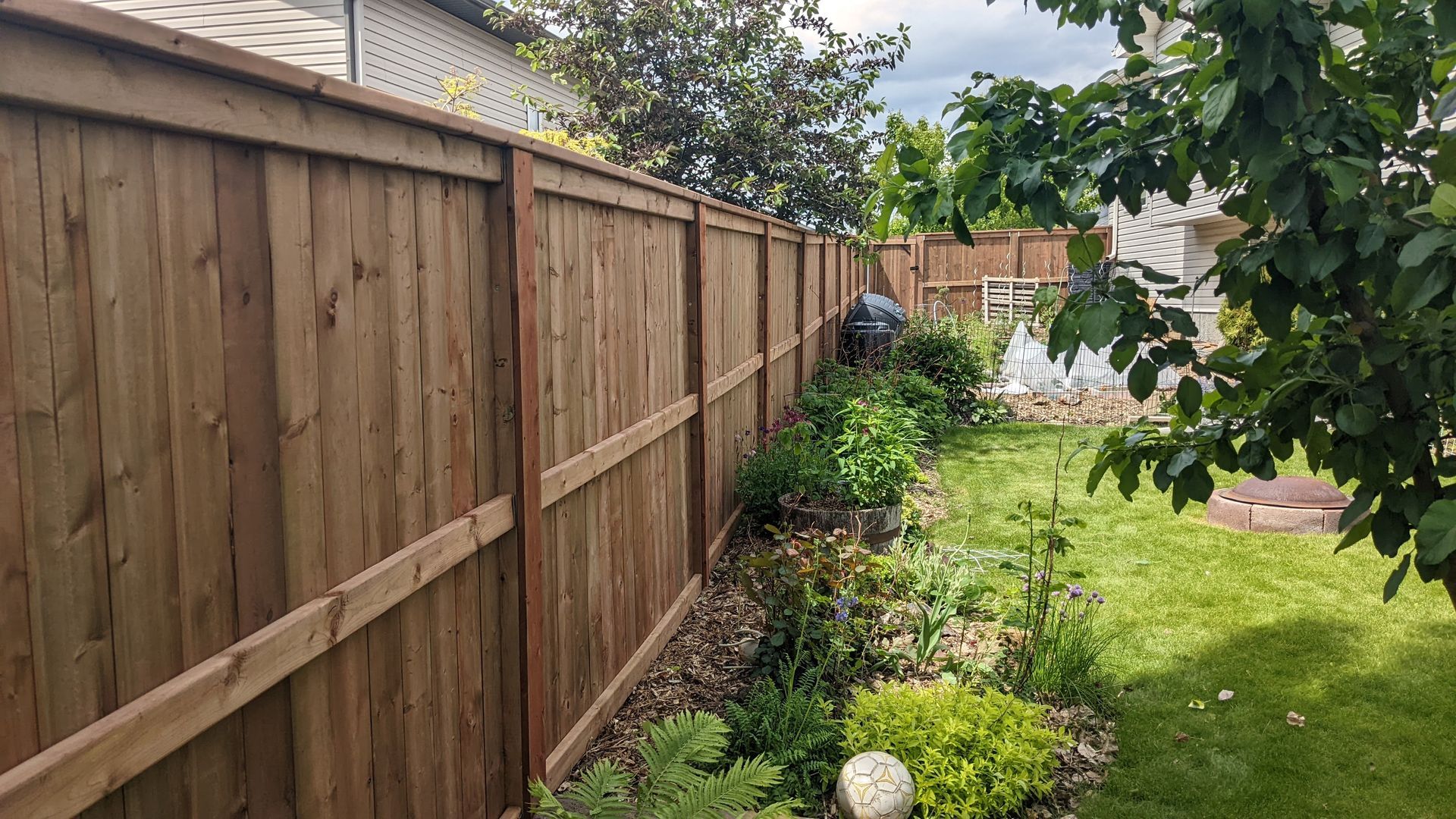 Brown wooden fence bordering a backyard garden with green plants and grass.