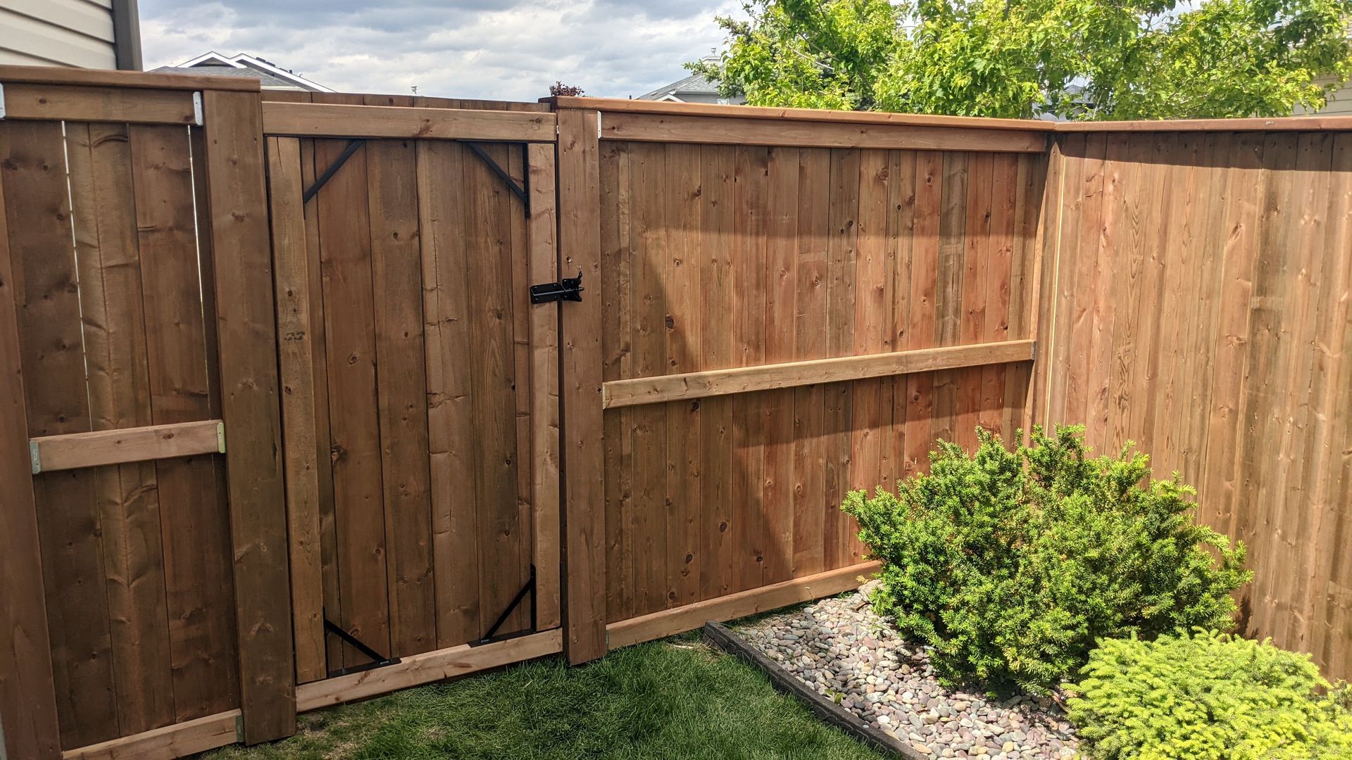 Wooden gate and fence in a backyard, with a small bush in front of it.