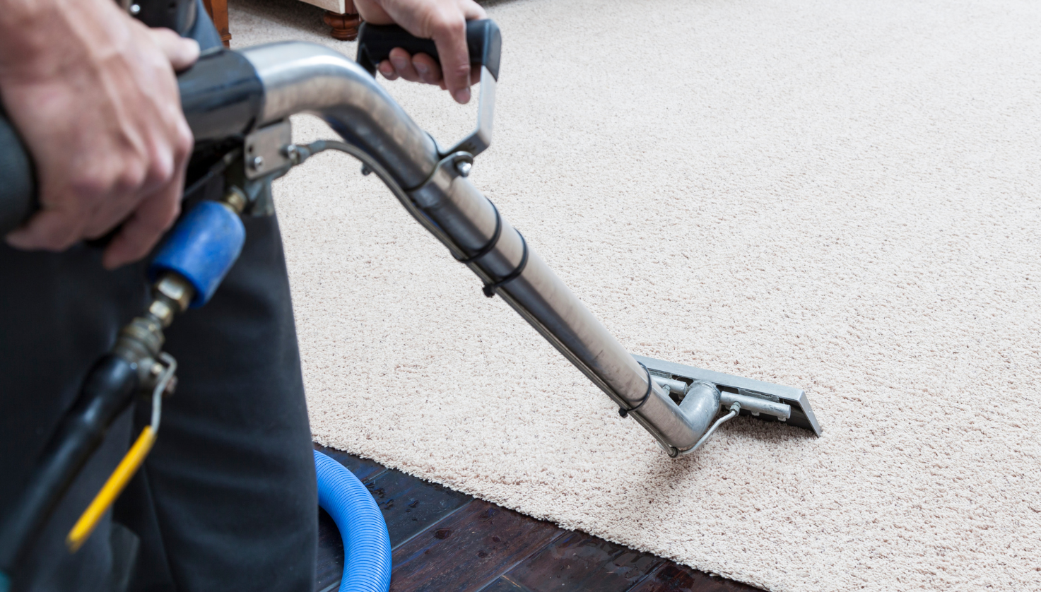 Carpet Cleaning