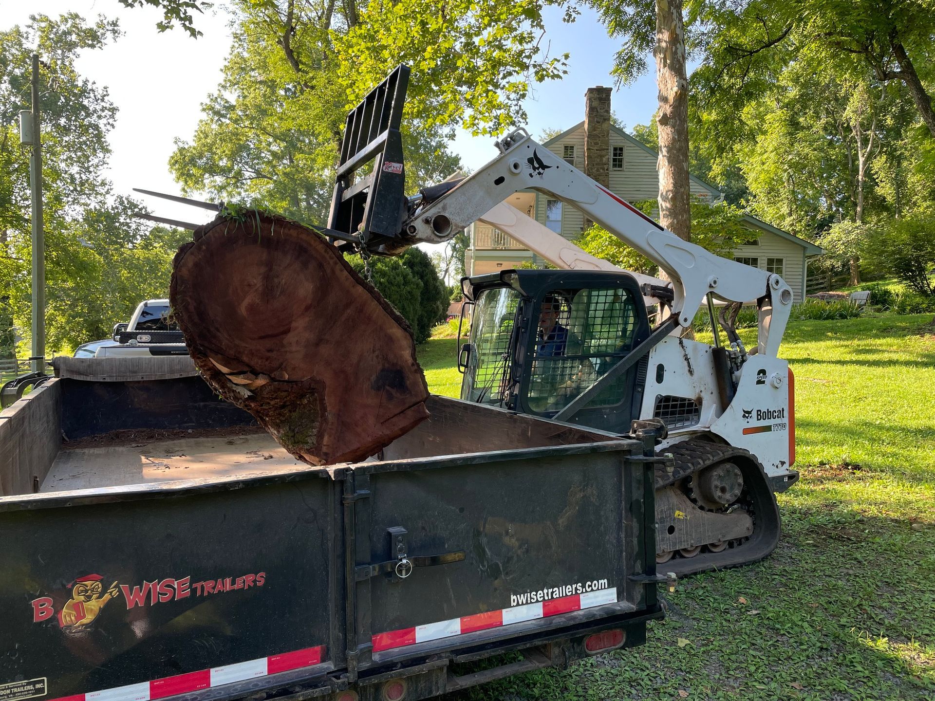 Bobcat skid-steer loading a large tree trunk into a dump trailer on a grassy lawn.