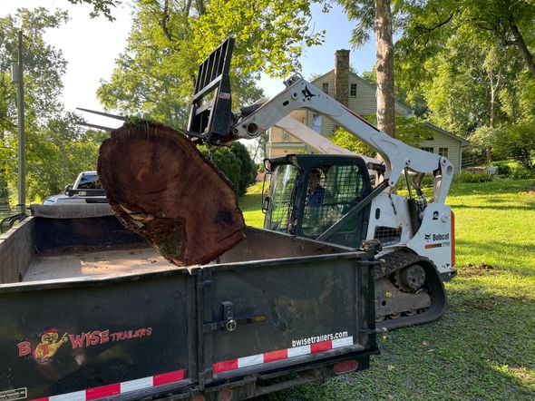 Bobcat skid-steer loading a large tree trunk into a dump trailer on a grassy lawn.