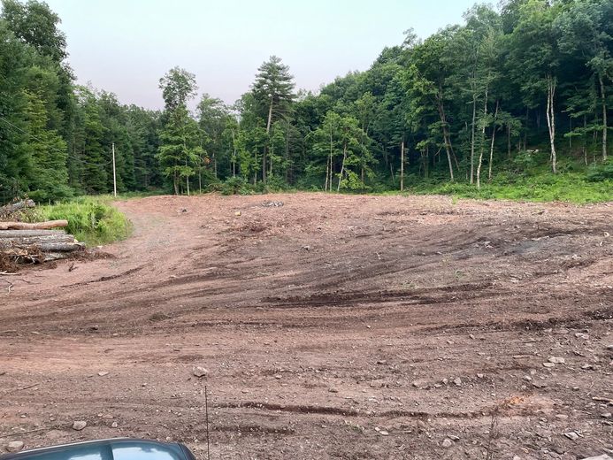 Cleared dirt area in a forest with trees in the background; overcast sky.