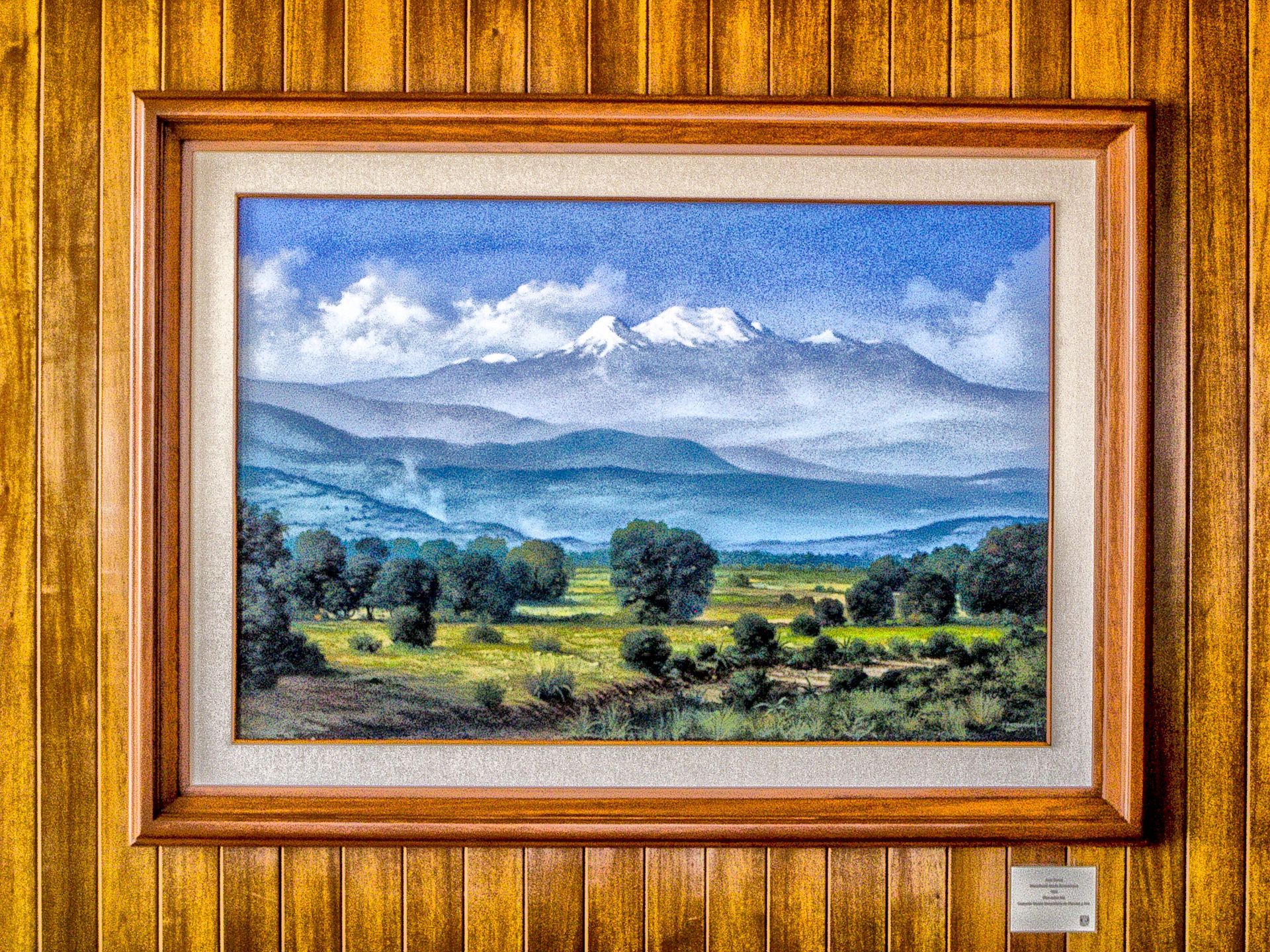 enmarcado a medida coyoacan 5