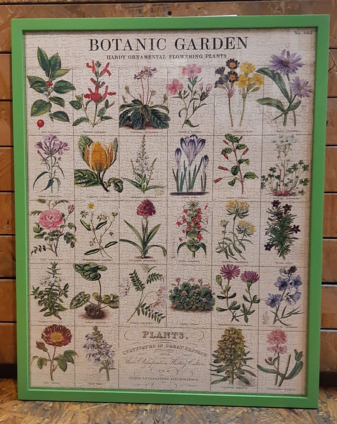 enmarcado de rompecabezas coyoacan 21