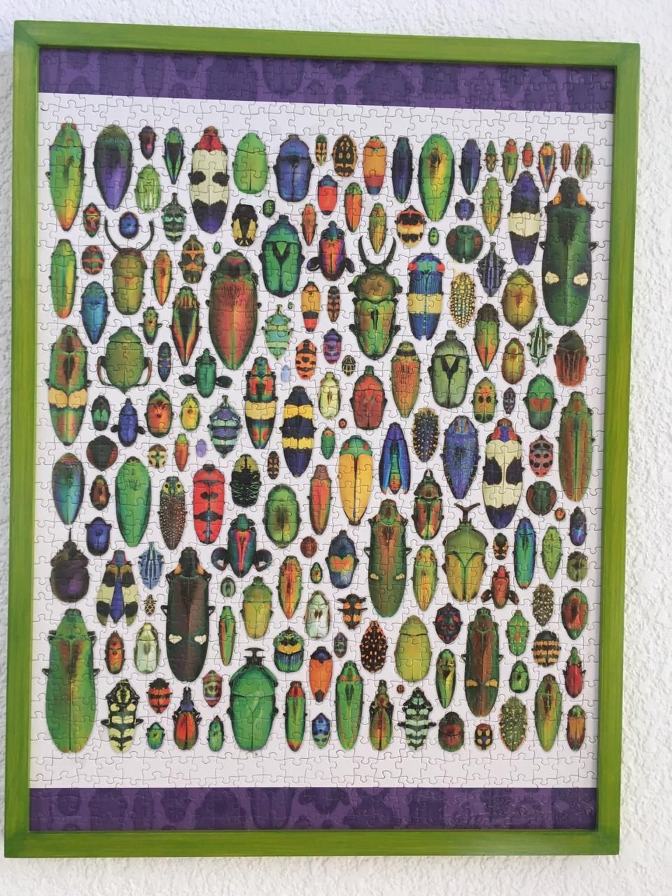 enmarcado de rompecabezas coyoacan 6