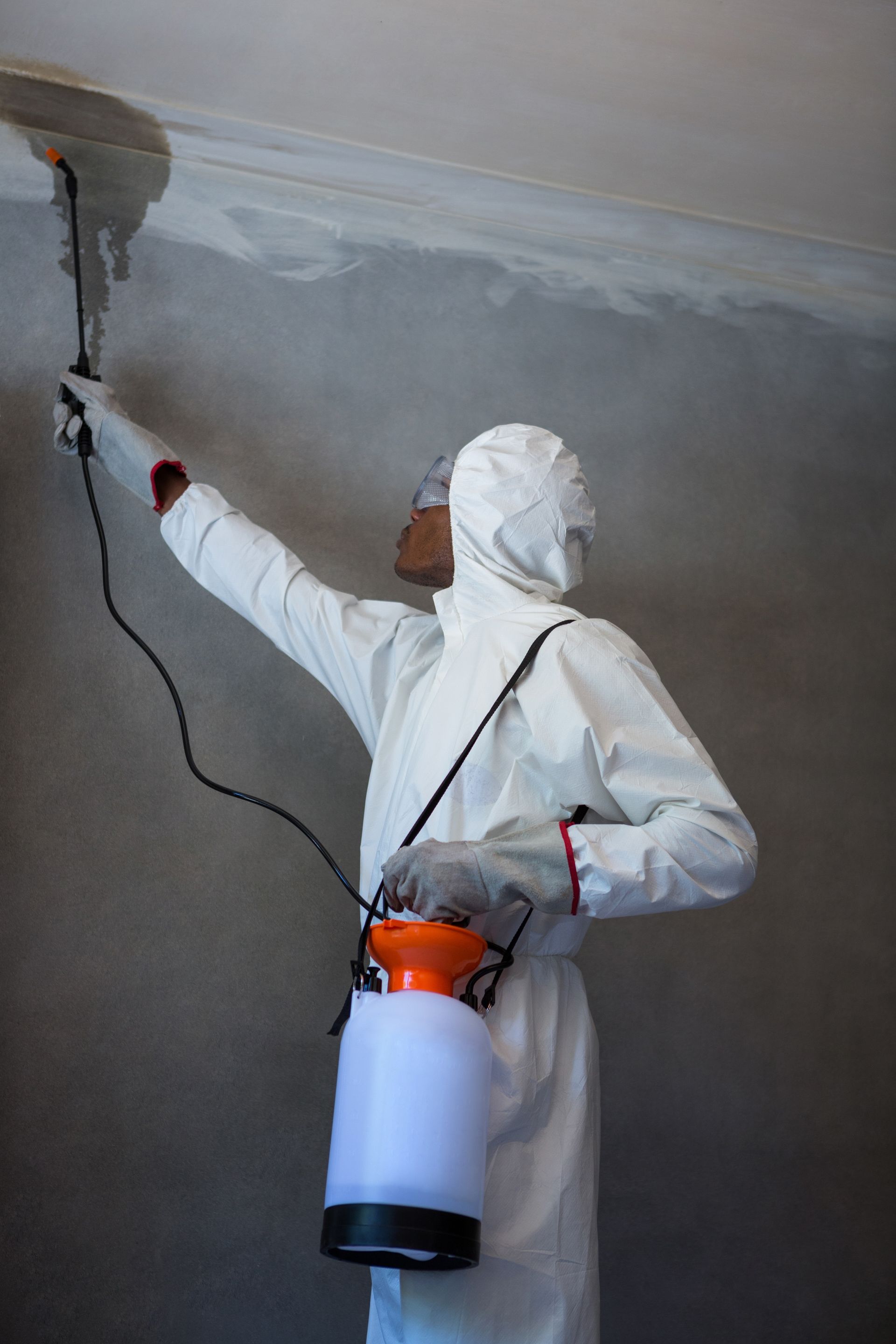 Person in protective suit spraying ceiling with a liquid. Person in protective suit spraying ceiling with a liquid.