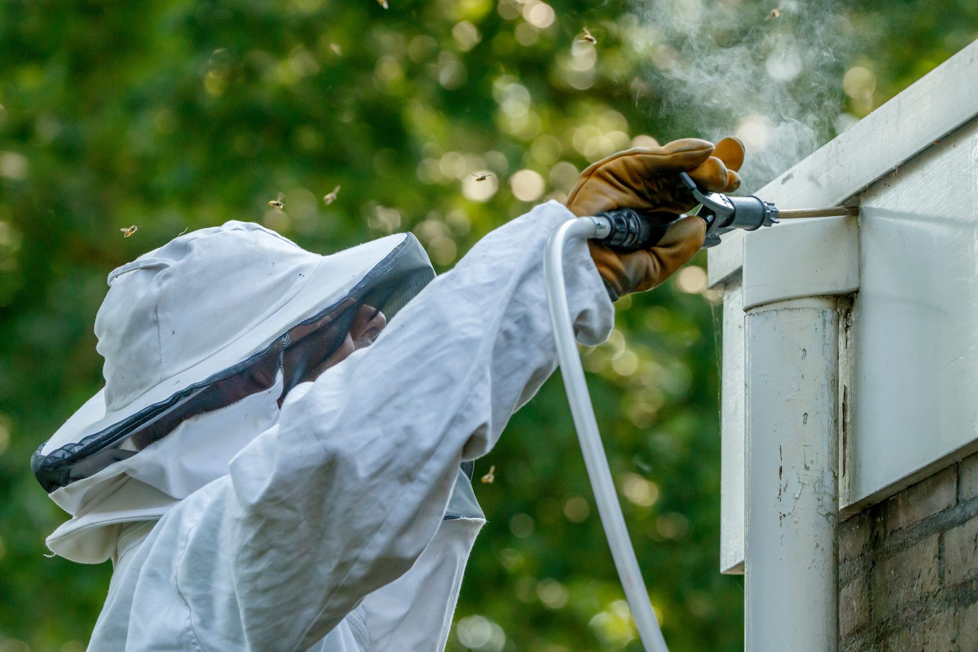Person in bee suit spraying insect repellent near a building, with bees flying around.