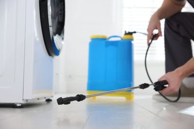 Person spraying insecticide near a washing machine and blue container in a room.
