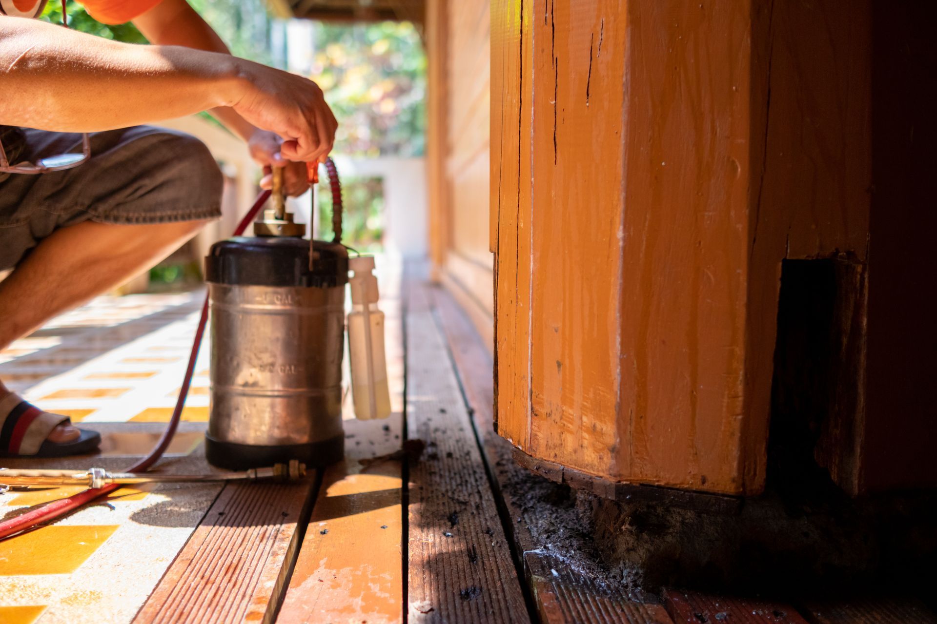 Person spraying insecticide near a wooden structure. Person spraying insecticide near a wooden structure.