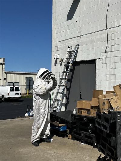 Two people in hazmat suits cleaning a living room with a couch, spraying solution.