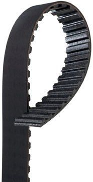 CINGHIE DENTATE GATES-CONTINENTAL-POGGI