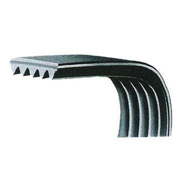 CINGHIE POLY V GATES, POGGI