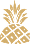 pineapple logo
