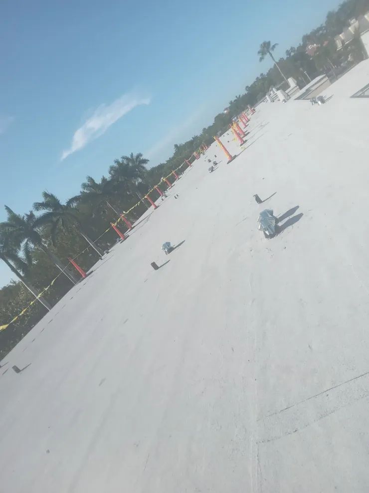 A roof with a lot of screws on it and trees in the background.